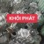 Hộp số KIA K3000 K165 K2700 K190 chính hãng